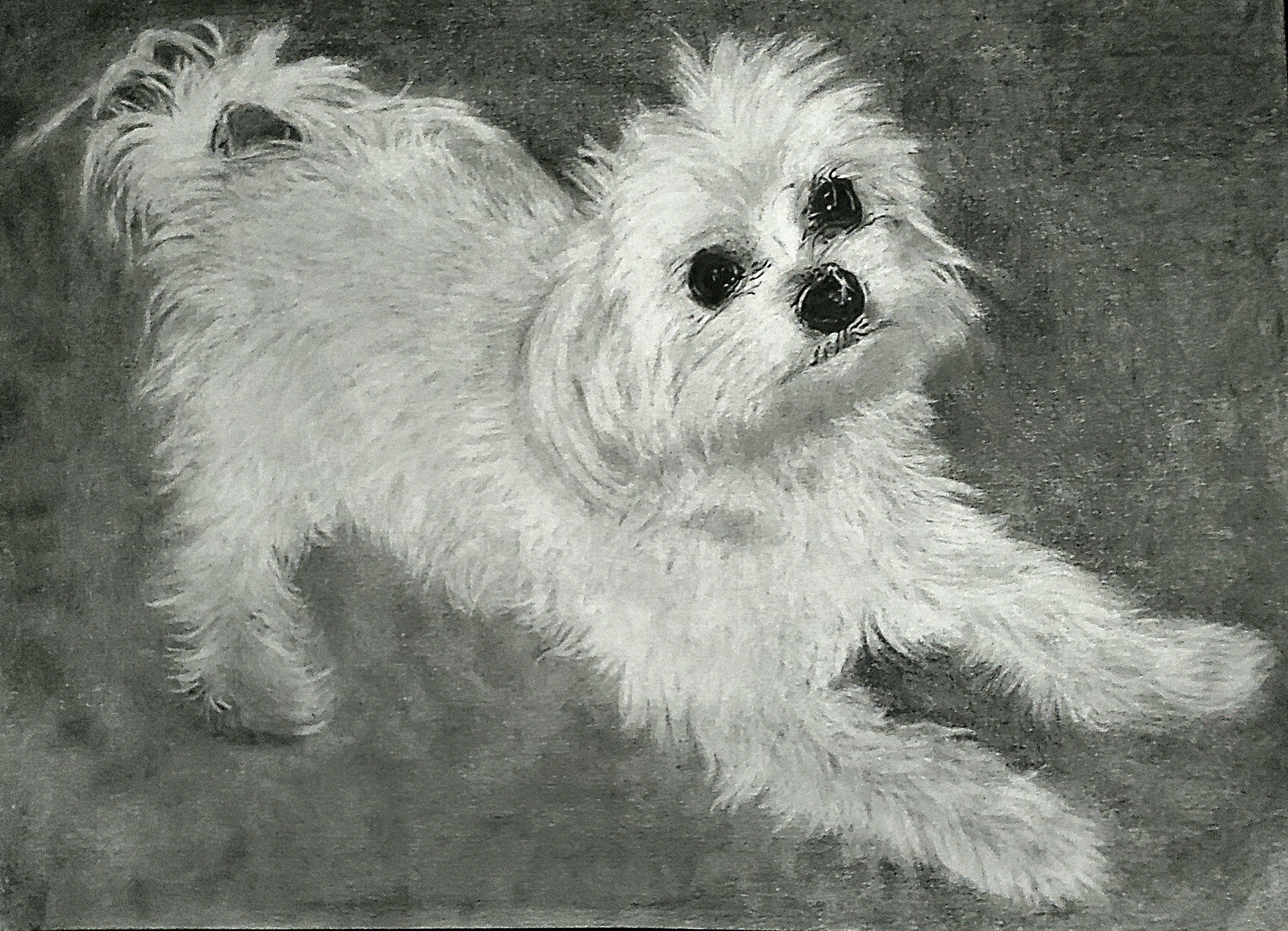 Graphite Portrait Example